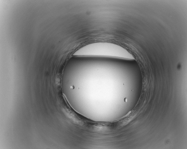 X0000092050284200709121031