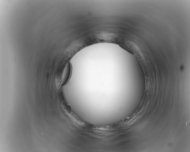 X0000092050285200709121031