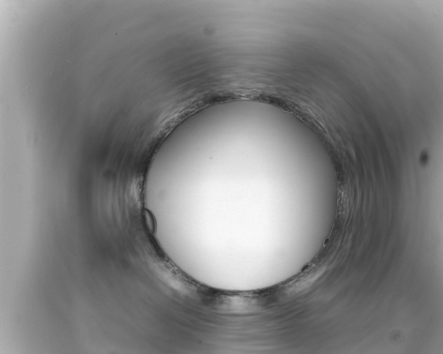 X0000092050286200709121031