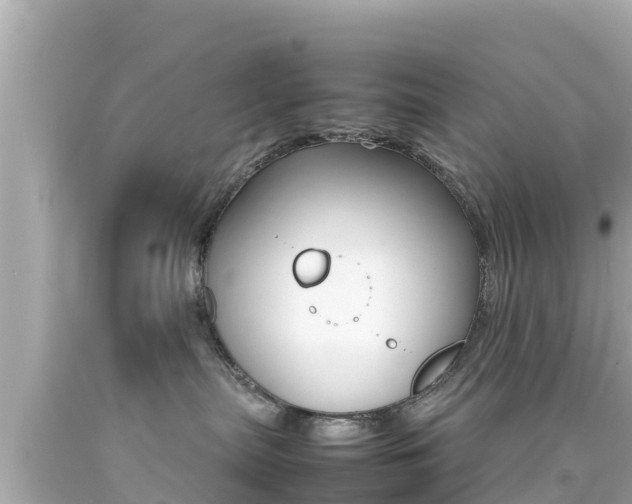 X0000092050287200709121031