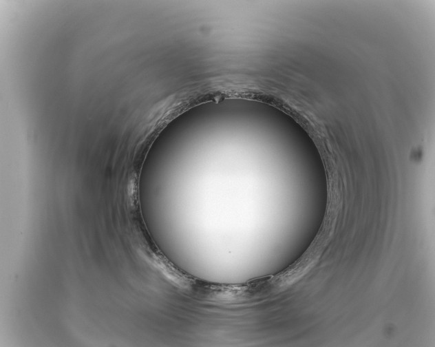 X0000092050288200709121031
