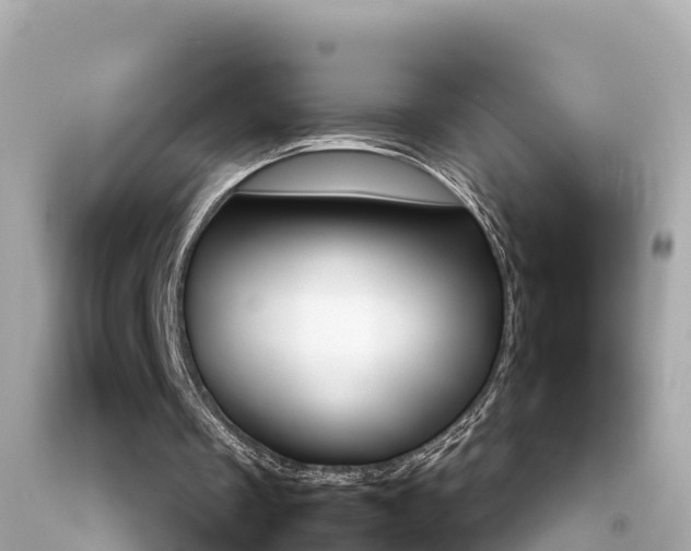 X0000092050289200709121031