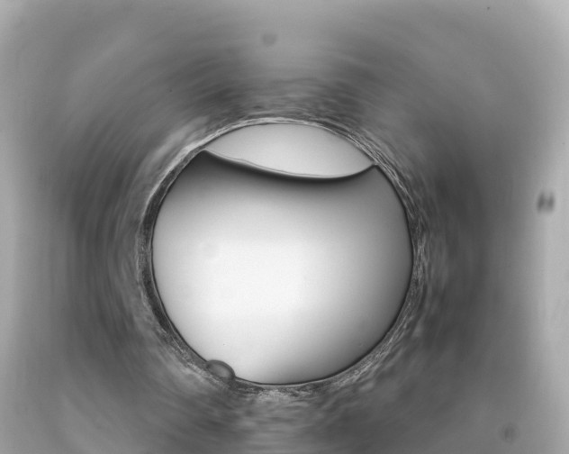 X0000092050290200709121031