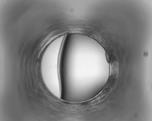 X0000092050291200709121031