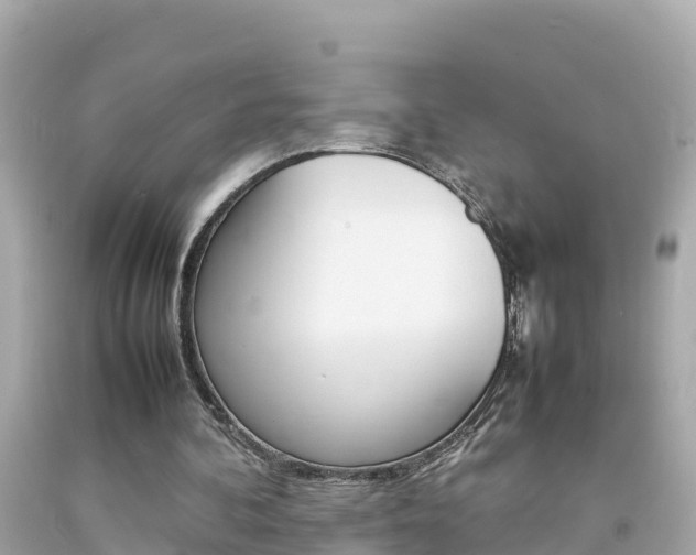 X0000092050292200709121031