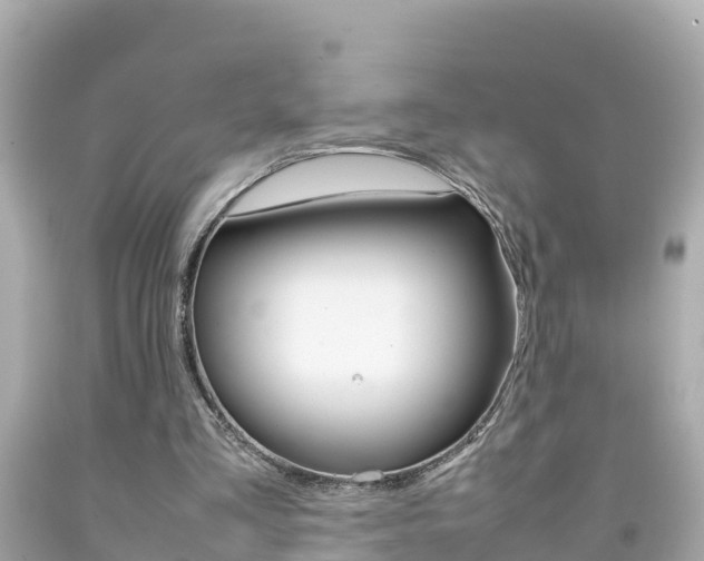 X0000092050293200709121031