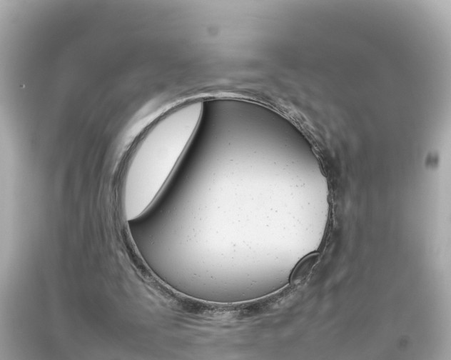 X0000092050295200709121030