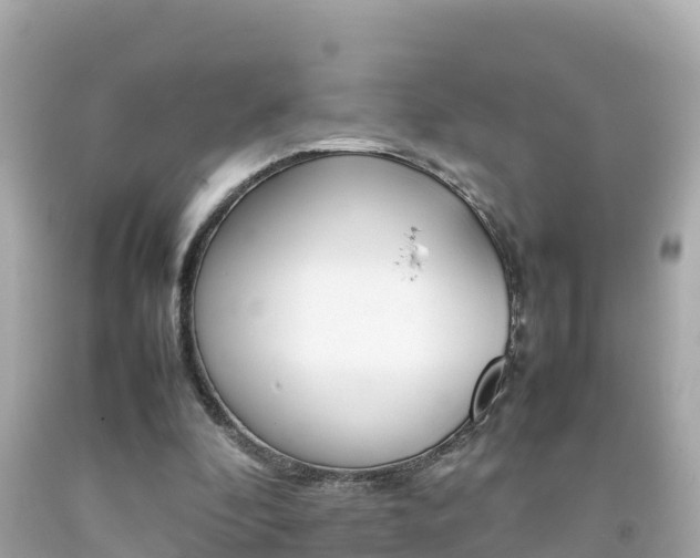 X0000092050296200709121030
