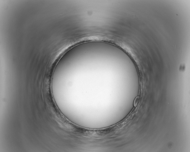 X0000092050297200709121030