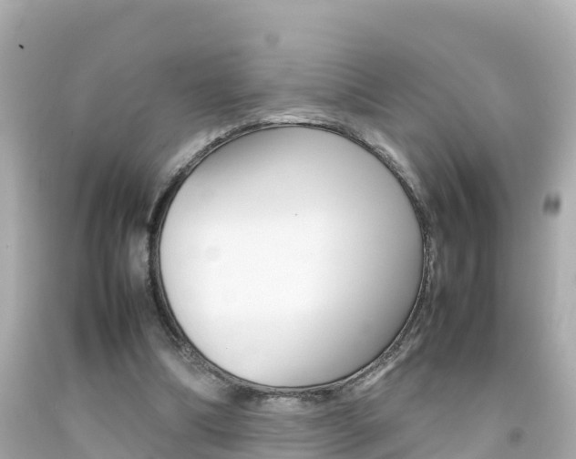X0000092050298200709121030