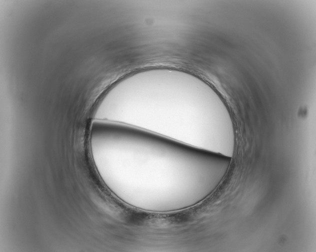 X0000092050299200709121030