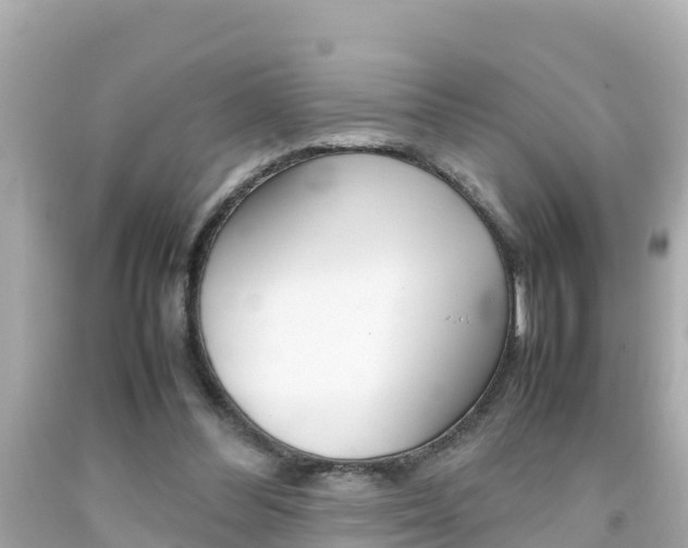 X0000092050300200709121030