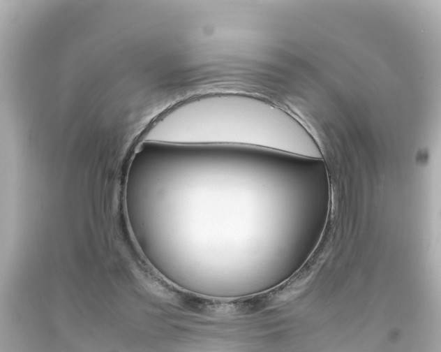 X0000092050301200709121030