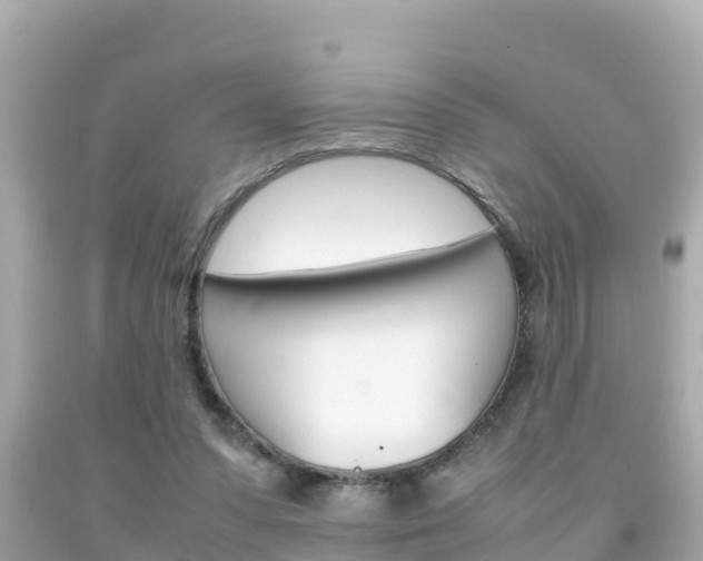 X0000092050303200709121030