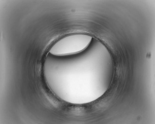 X0000092050304200709121030