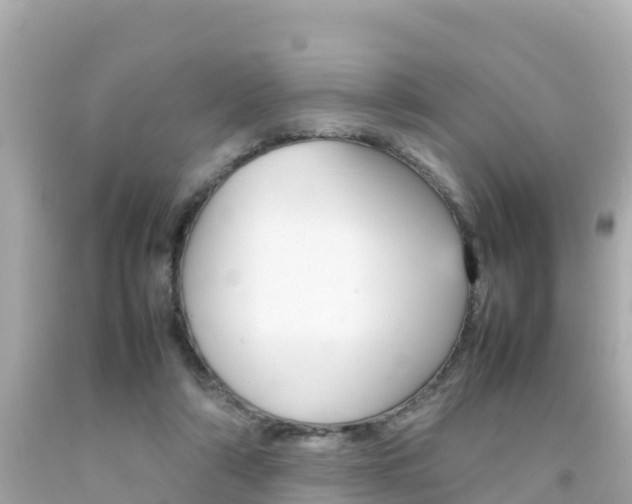 X0000092050306200709121030
