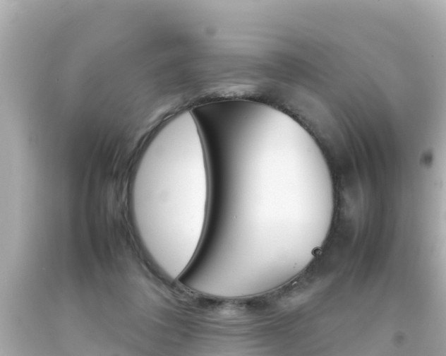 X0000092050308200709121030