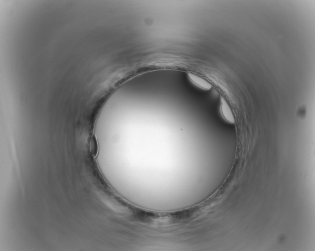 X0000092050309200709121030