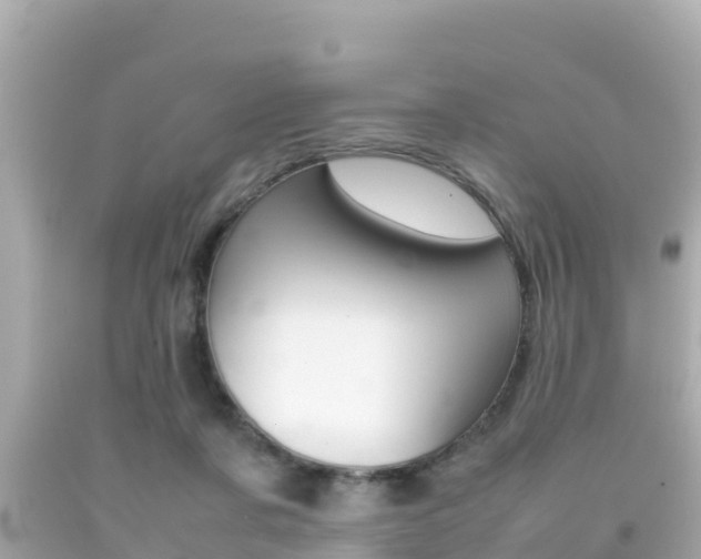 X0000092050311200709121030