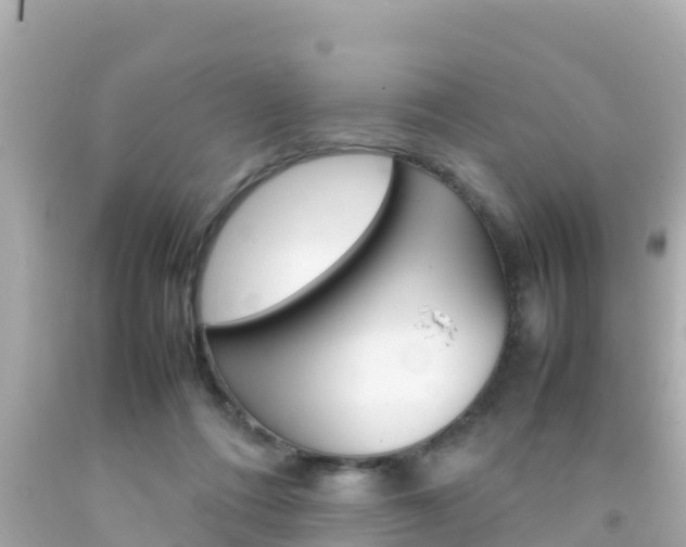 X0000092050312200709121030