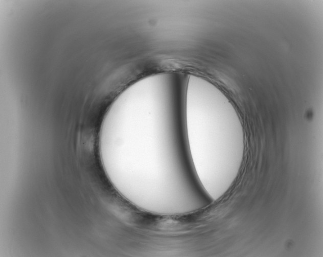 X0000092050315200709121030