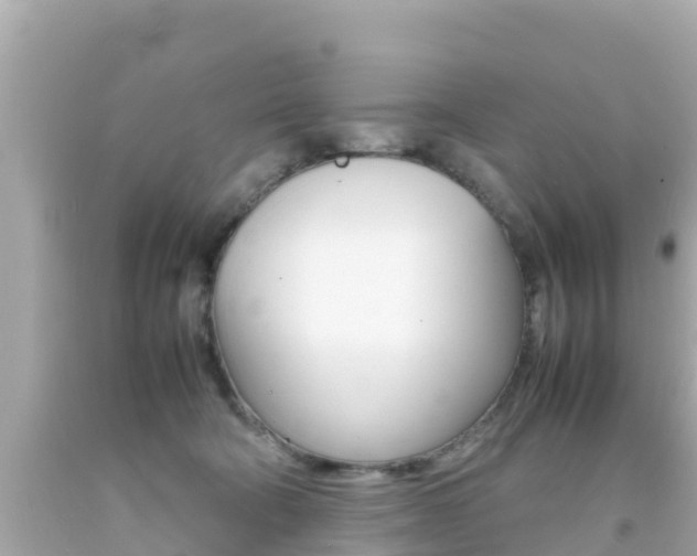 X0000092050322200709121030
