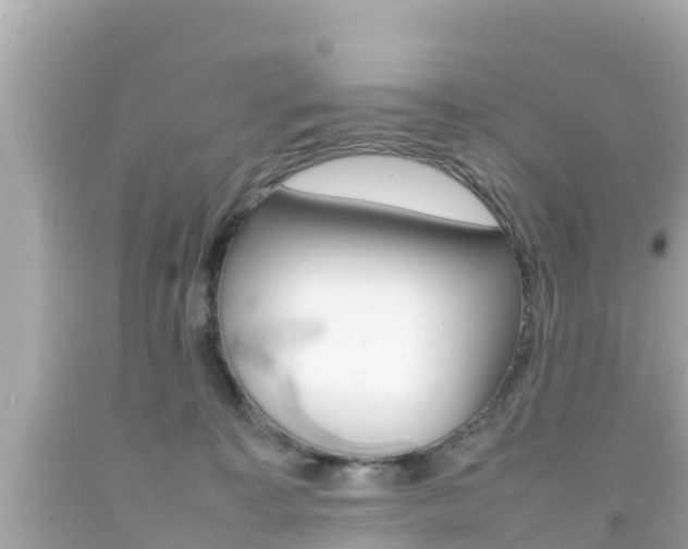X0000092050323200709121030