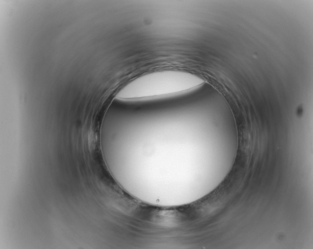 X0000092050324200709121030