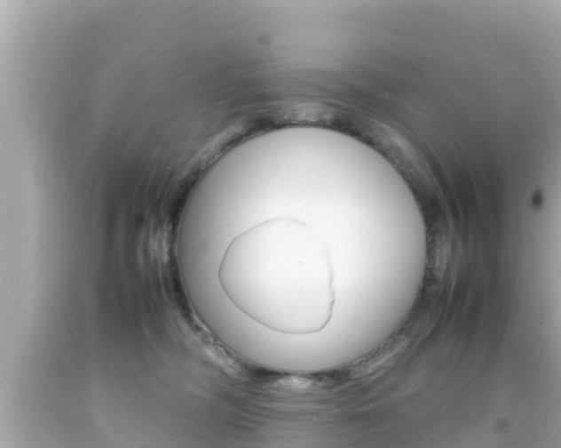 X0000092050326200709121030