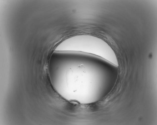 X0000092050329200709121030
