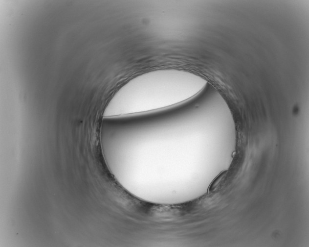 X0000092050331200709121030