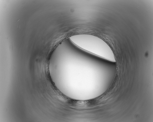 X0000092050335200709121030