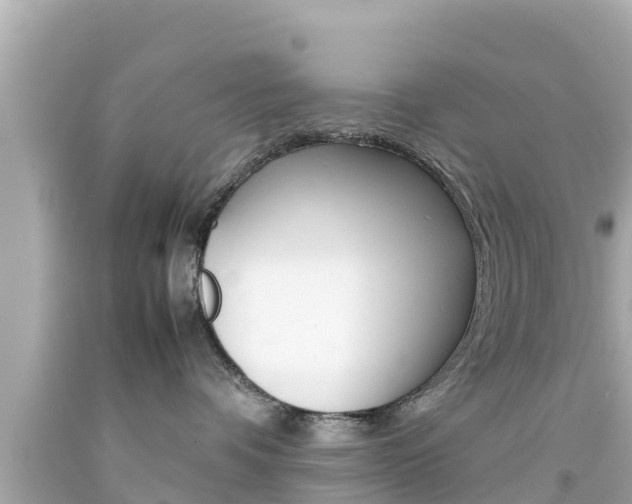 X0000092050336200709121030