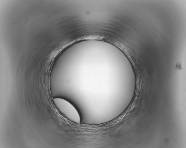 X0000092050337200709121029