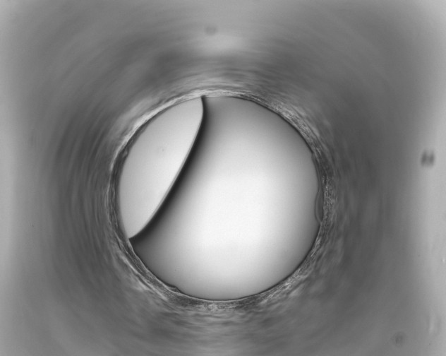 X0000092050338200709121029