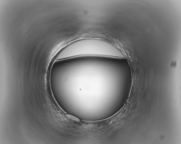 X0000092050340200709121029