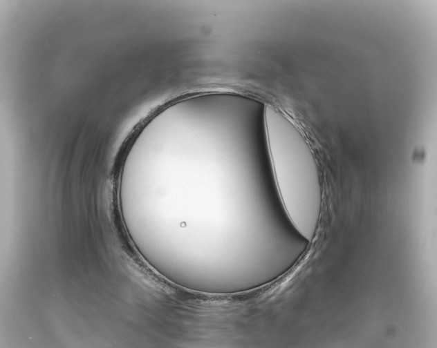 X0000092050342200709121029
