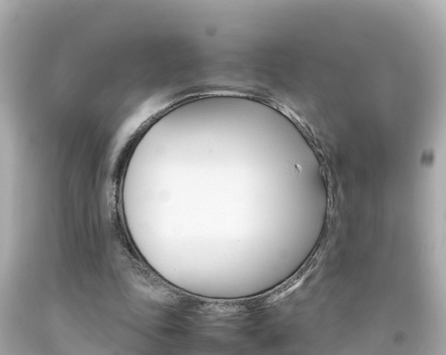 X0000092050343200709121029