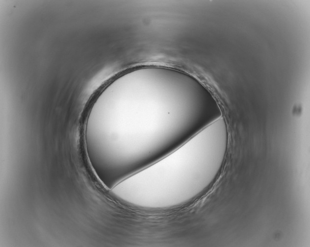 X0000092050344200709121029