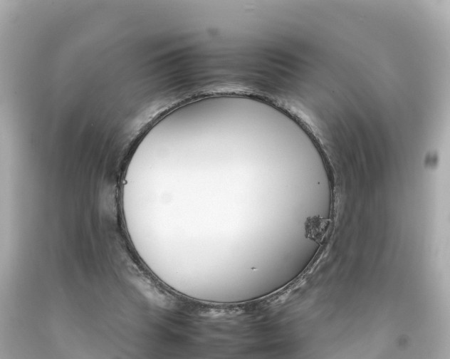 X0000092050345200709121029