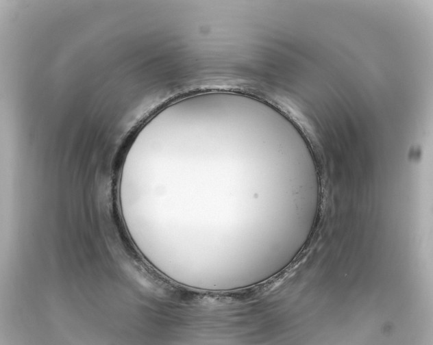 X0000092050346200709121029