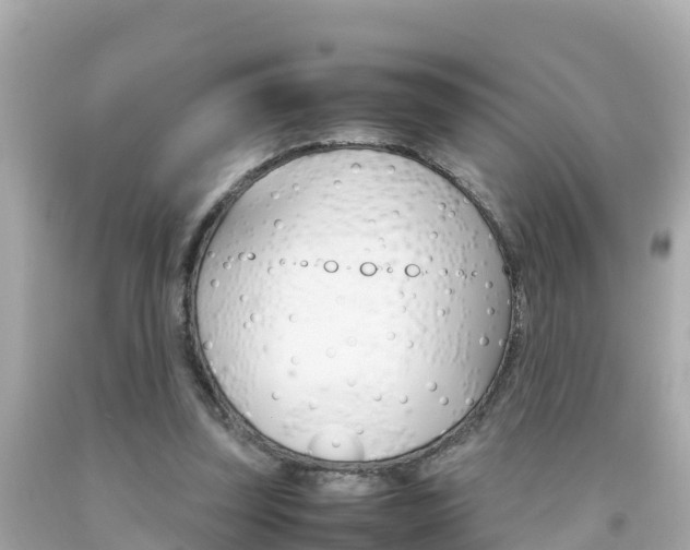 X0000092050347200709121029