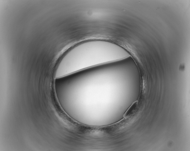 X0000092050348200709121029