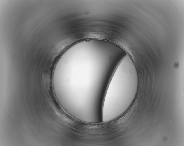 X0000092050349200709121029