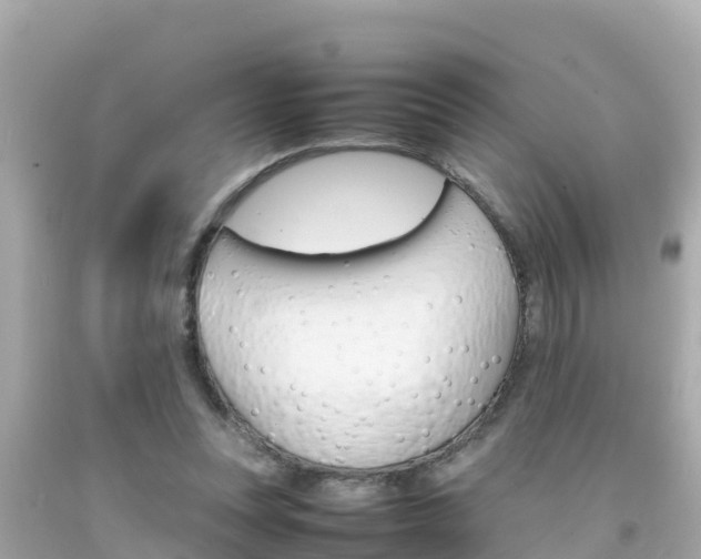 X0000092050351200709121029