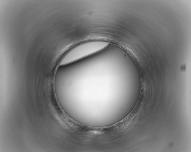 X0000092050352200709121029