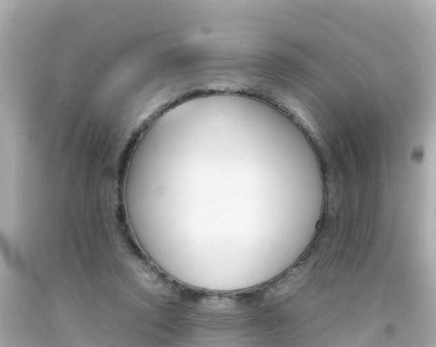 X0000092050354200709121029