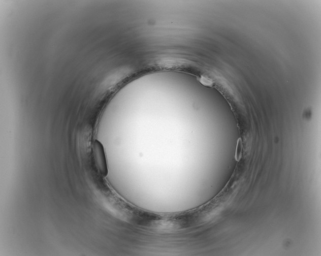 X0000092050356200709121029