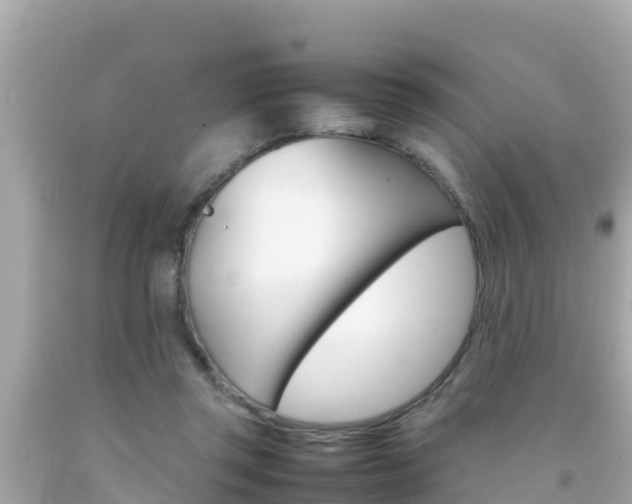 X0000092050357200709121029
