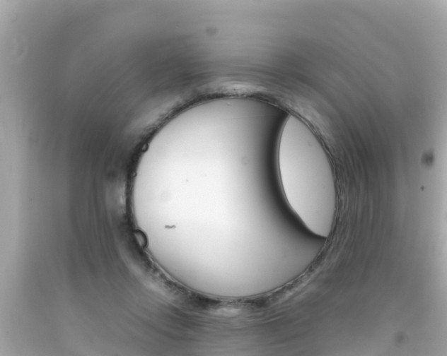 X0000092050358200709121029
